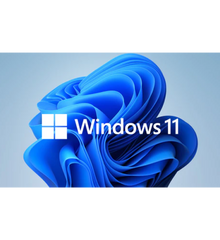Microsoft Windows 11 Pro 64Bit, DSP/SB (deutsch) (PC) DVD