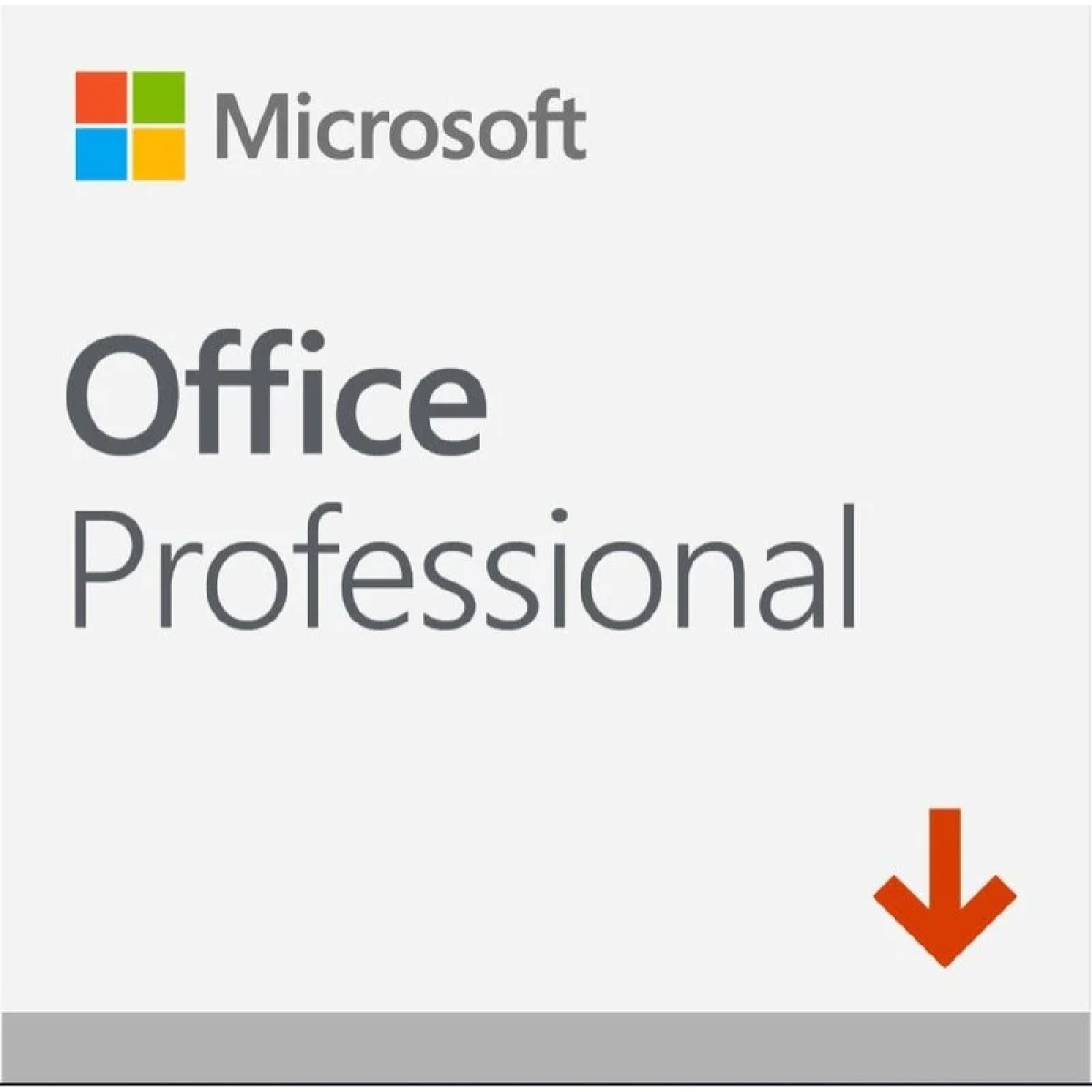 Microsoft Office Professional Logo