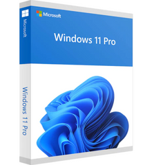 Microsoft Windows 11 Professional 64Bit, ESD (multilingual) (PC)